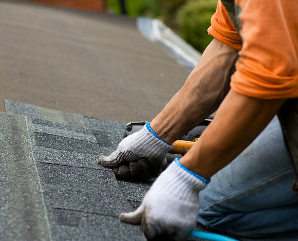 Best Roof Restoration Services  in Minier, IL