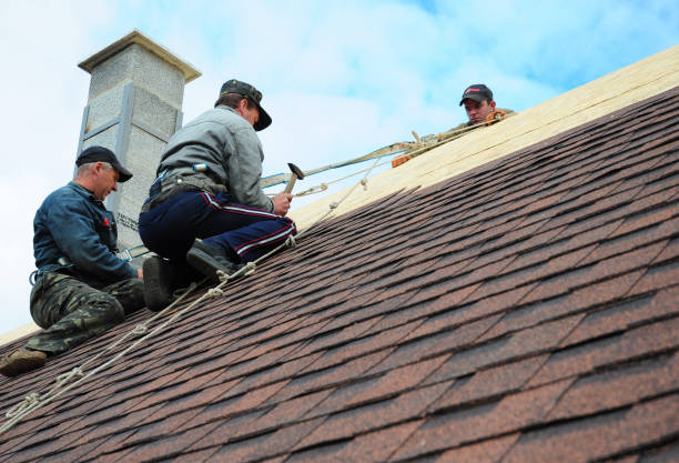 Best Residential Roof Replacement  in Minier, IL