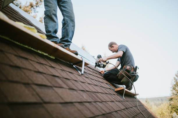 Best Roof Gutter Cleaning  in Minier, IL